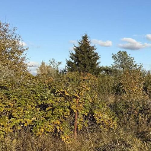 Земельный участок Волжа СНТ, улица 3-я, 14