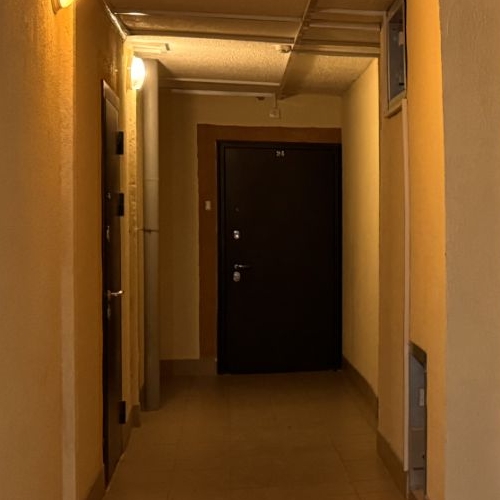 2-комн квартира пос. Шушары, Ленсоветовский тер., 23