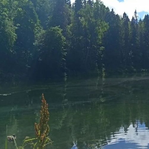 Земельный участок Сказка СНТ,  д. 44