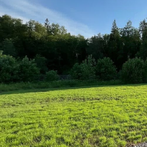 Коттедж/дом Капелла кп, Лебяжье тер.,  д. 44