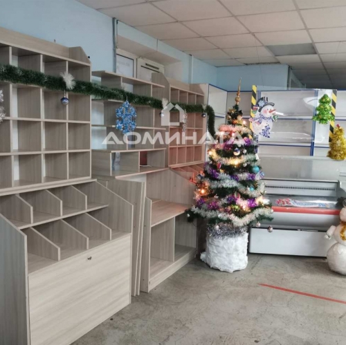 Помещение свободного назначения Пушкин, Малиновская ул., 8