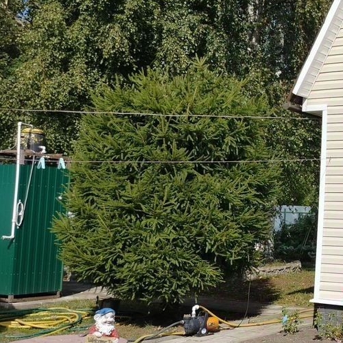 Коттедж/дом Лесное кп, Сосновый Бор