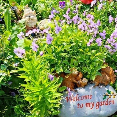 Коттедж/дом Беляевский Мох садоводческий массив, Победа СНТ, 7-я линия,  д. 26