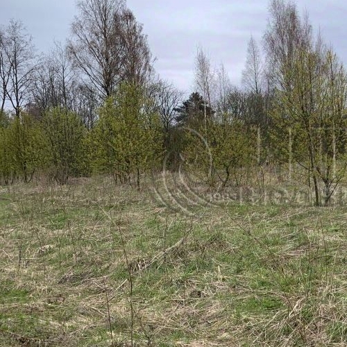 Коттедж/дом д. Шамокша, улица Сельская, 3