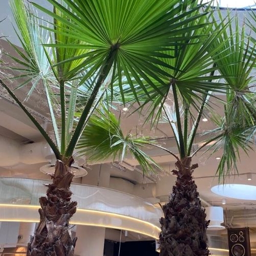 Студия Херсонская улица, 43/12