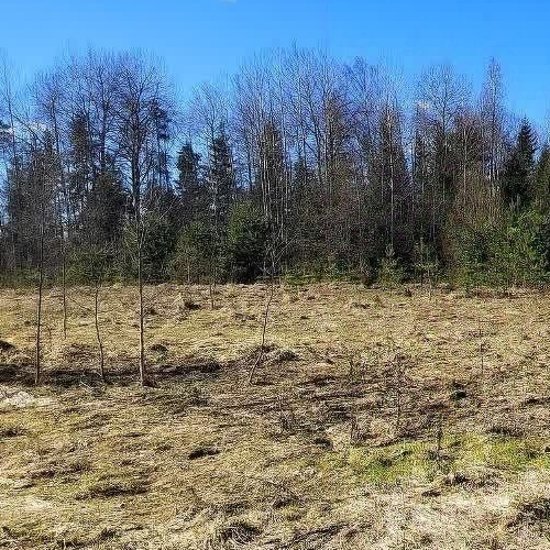 Земельный участок д. Болотово, 13