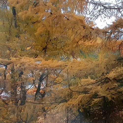 3-комн квартира Парашютная улица, 12