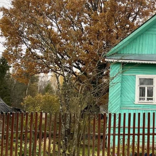 Коттедж/дом д. Крапивно, улица Лесная, 20