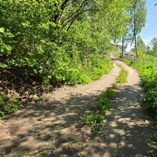 Земельный участок д. Порошкино, улица Лебяжья