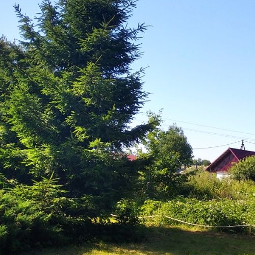 Коттедж/дом д. Старая Середка, улица Полевая