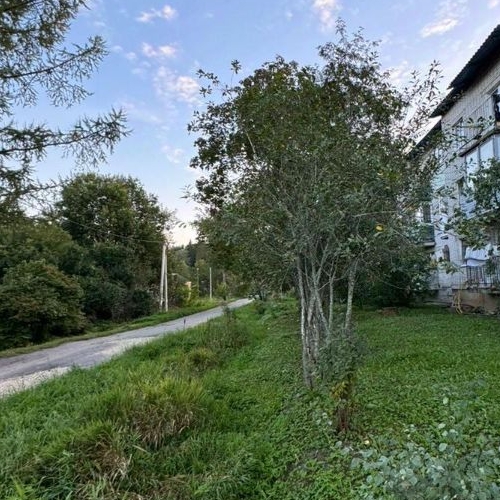 1-комн квартира Рябово городской поселок, улица Связи, 4