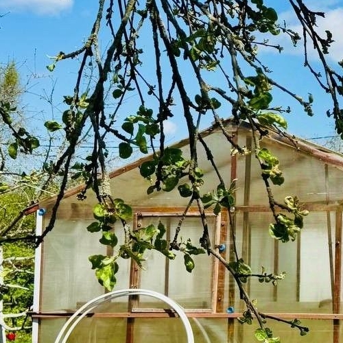 Коттедж/дом Заклинское СНТ, улица 1-я Центральная