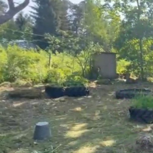 Земельный участок пос. Судаково, улица Магистральная, 15Б