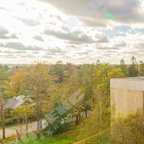 1-комн квартира Сиверский городской поселок, улица Военный Городок, 4