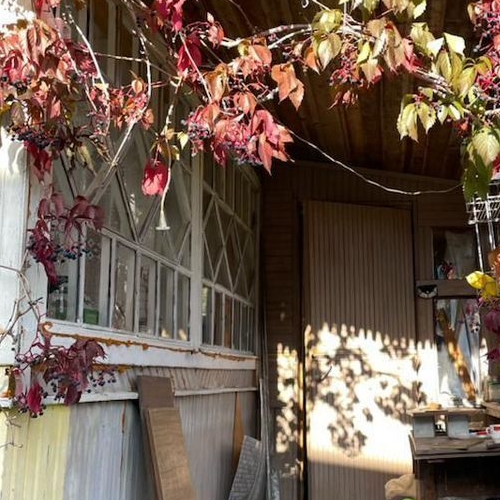 Коттедж/дом Заречное СНП, Тосно г.