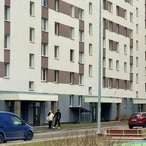 1-комн квартира пос. Шушары, Московское шоссе, 256к4