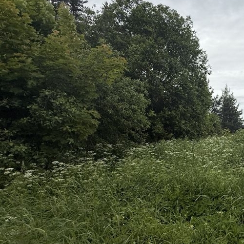 Коттедж/дом пос. Коммунары, улица Ленинградская