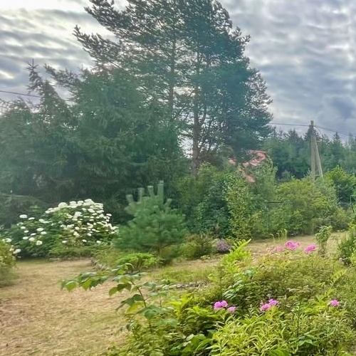 Коттедж/дом Форт Ино СНТ, 4-я линия, 73