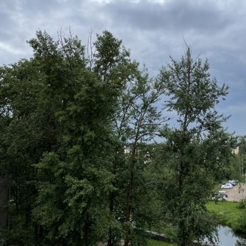 2-комн квартира Колпино, шоссе Вознесенское, 49к2