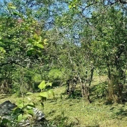 Коттедж/дом Молодежный СНТ, улица 9-я, 140