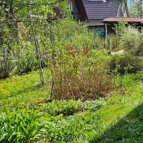 Коттедж/дом Дивенская садоводческий массив, Дивенское СТ,  д. 293