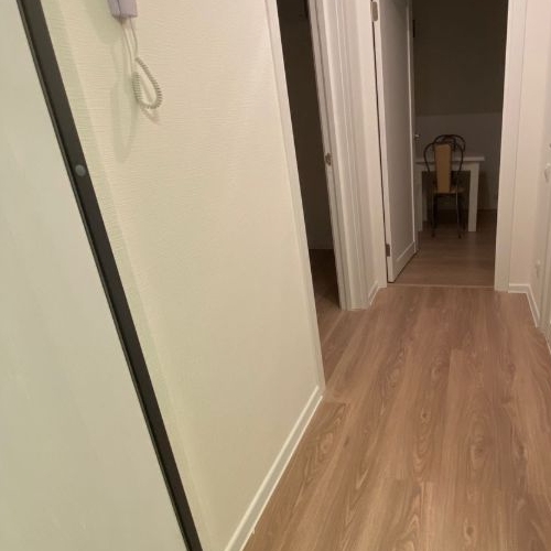 1-комн квартира пос. Ковалево, улица Александра Разгонина, 1к1