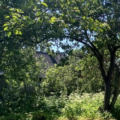 Коттедж/дом Сланцы, Комсомольское шоссе