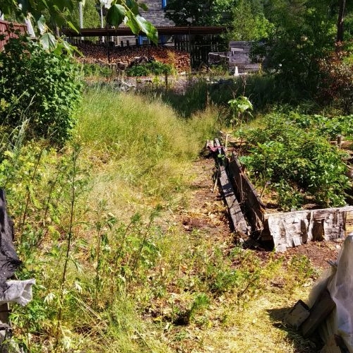 Коттедж/дом Приозерск, Сосновая улица, 1