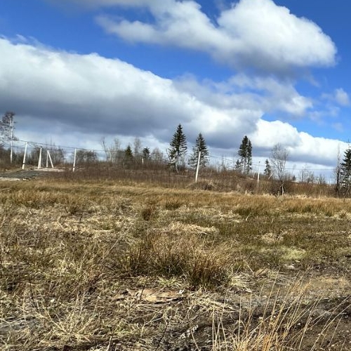 Земельный участок У Лукоморья СНТ