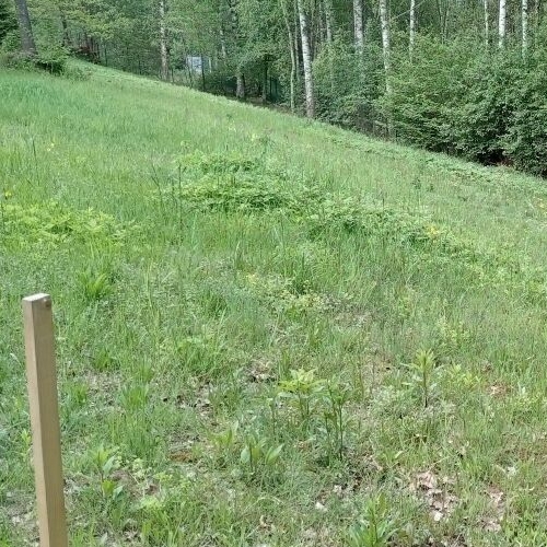 Земельный участок Ключи СНТ