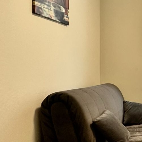 1-комн квартира Витебский проспект, 99к1