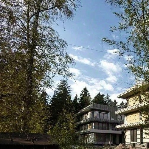 Коттедж/дом пос. Лисий Нос, Приморское шоссе, 26А