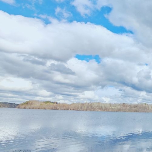 Земельный участок с. Шеменичи, переулок Дачный