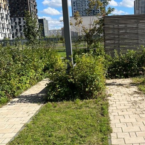 Студия проспект Орлово-Денисовский, 17к1