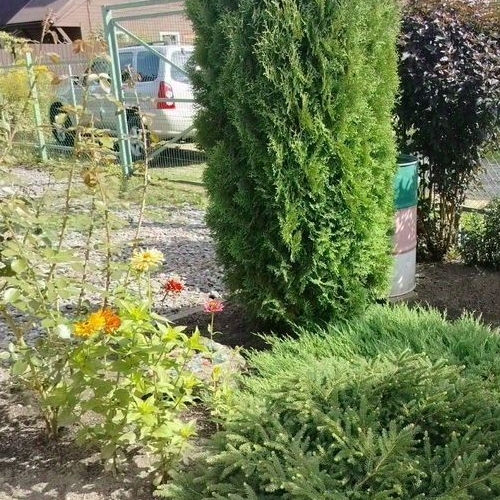 Коттедж/дом Лесное кп, Сосновый Бор