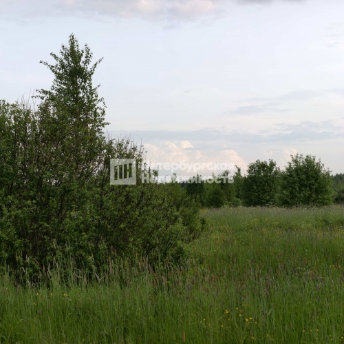 Земельный участок деревня Сологубовка, деревня Сологубовка, , д 83,  д. 83