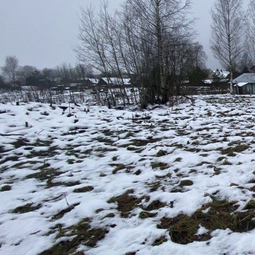 Земельный участок д. Новый Бор, 12