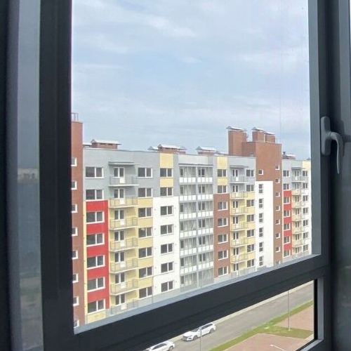 2-комн квартира д. Янино-2, улица Рябиновая, 8к1