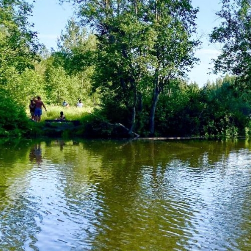 Коттедж/дом Захожье-2 садоводческий массив, Захожье-2 СНТ