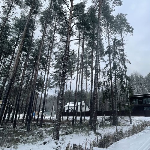 Земельный участок пос. Новое Токсово, улица Парковая, 267