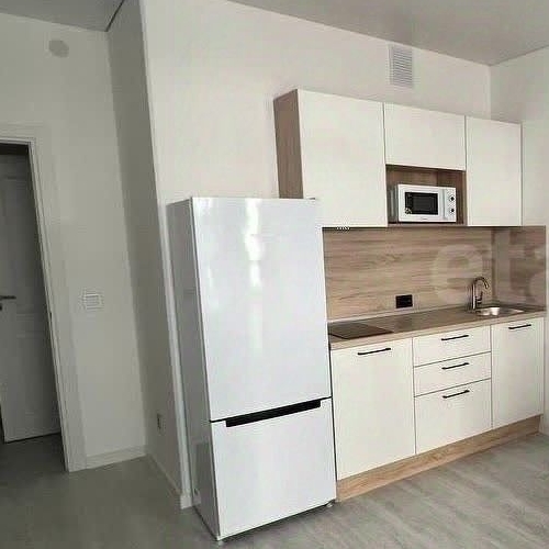 Студия проспект Ветеранов, 204