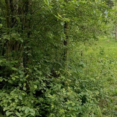 Коттедж/дом Пупышево садоводческий массив, Фрегат СНТ, улица Строителей, 532