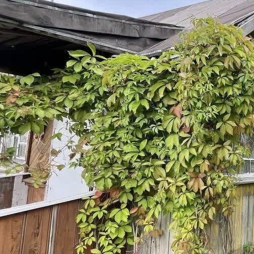 Коттедж/дом Энергетик СНТ, улица 1-я, 23