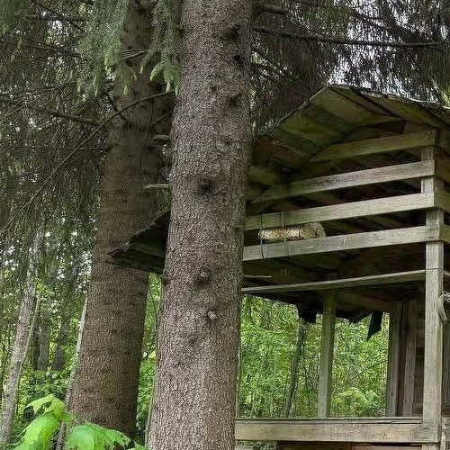 Коттедж/дом Пупышево садоводческий массив, Искра СНТ