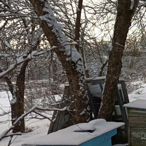 Коттедж/дом пос. Волошово, улица Школьная, 2