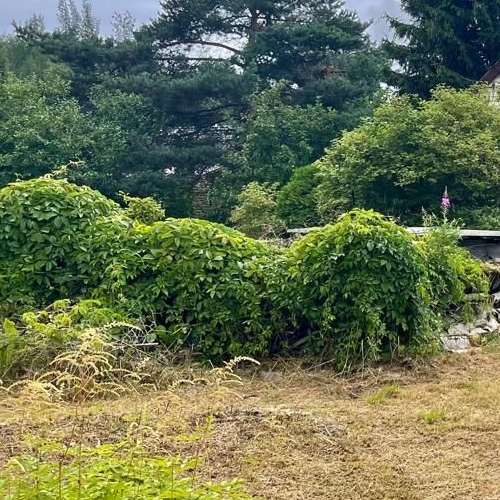 Коттедж/дом Форт Ино СНТ, 4-я линия, 73