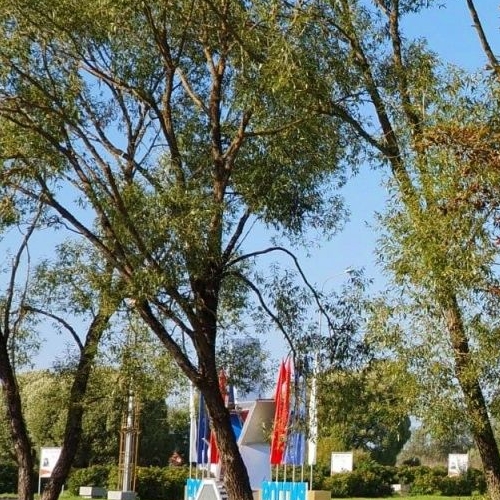 1-комн квартира Сланцы, улица Кирова, 12