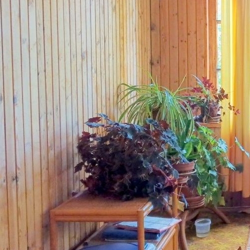 Коттедж/дом Симагинское-2 СНТ