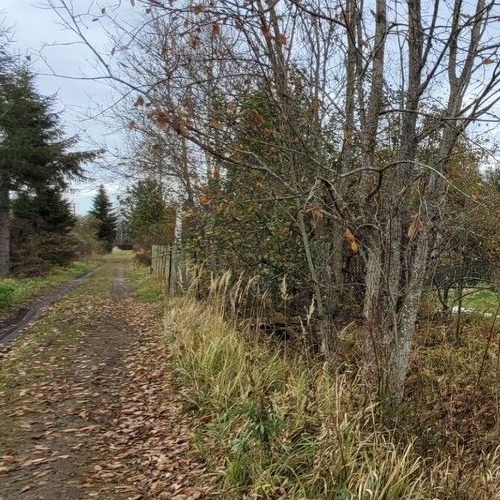 Коттедж/дом Мшинская садоводческий массив, НПО ВНИИМ имени Д.И. Менделеева СНТ, проспект Малый