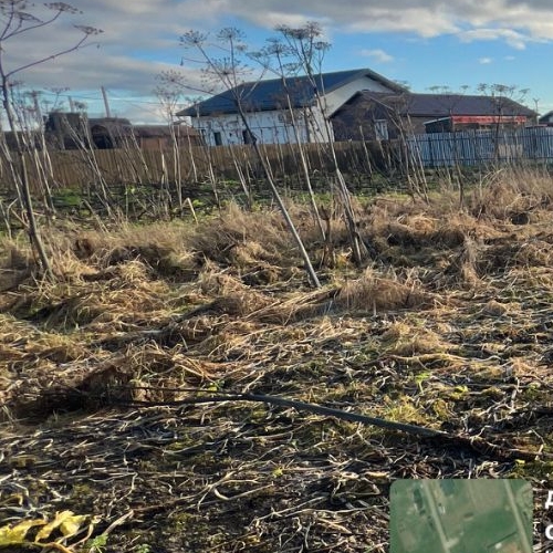 Земельный участок д. Аннолово, проезд 1-й Кошелевский,  д. 10